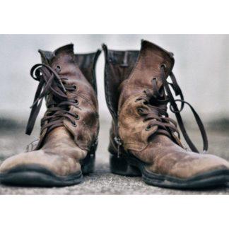 Cleaners, Protectors, and Conditioners