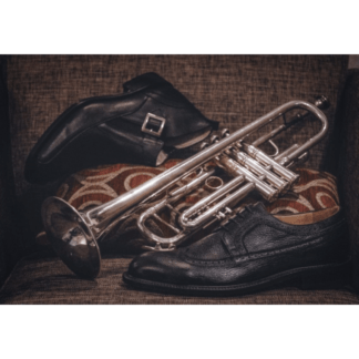 Shoe & Boot Accessories